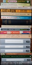 20 books of summer pile 2017